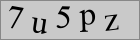 Sicherheitscode